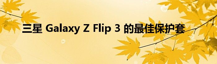 三星 Galaxy Z Flip 3 的最佳保护套