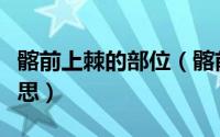 髂前上棘的部位（髂前上棘肌肉附着点什么意思）