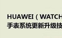 HUAWEI（WATCH GT手表怎么升级  华为手表系统更新升级技巧）