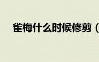 雀梅什么时候修剪（雀梅修剪时间介绍）