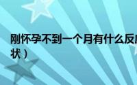 刚怀孕不到一个月有什么反应（刚怀孕不到一个月有什么症状）
