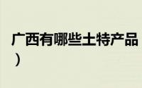 广西有哪些土特产品（广西土特产年货有哪些）
