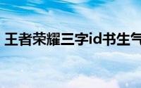 王者荣耀三字id书生气（王者荣耀名字精选）