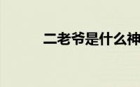 二老爷是什么神（ely是什么车）