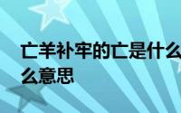 亡羊补牢的亡是什么意思 亡羊补牢的亡是什么意思 