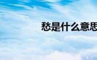 愁是什么意思（愁字简介）