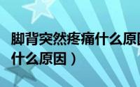 脚背突然疼痛什么原因引起的（脚背突然疼痛什么原因）