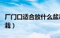 厂门口适合放什么盆栽（厂门口适合放哪些盆栽）