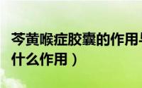 芩黄喉症胶囊的作用与功效（芩黄喉症胶囊有什么作用）