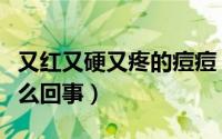 又红又硬又疼的痘痘（又红又硬还疼的痘痘怎么回事）