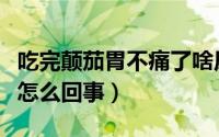 吃完颠茄胃不痛了啥原因（吃完颠茄胃更疼是怎么回事）