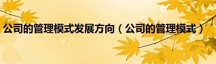 公司的管理模式发展方向（公司的管理模式）
