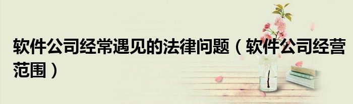 软件公司经常遇见的法律问题（软件公司经营范围）