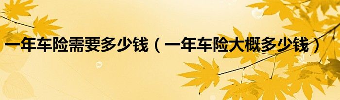 一年车险需要多少钱（一年车险大概多少钱）