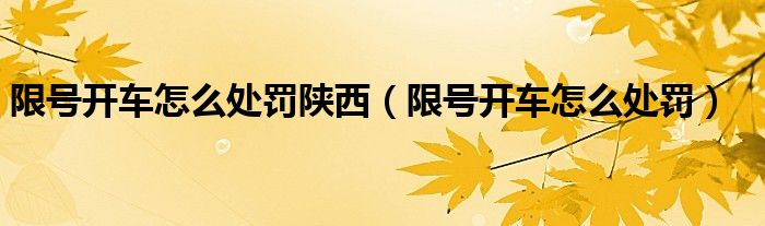 限号开车怎么处罚陕西（限号开车怎么处罚）