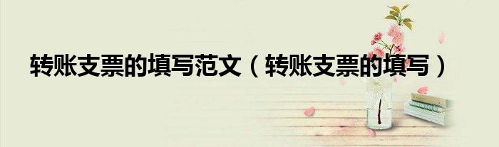 转账支票的填写范文（转账支票的填写）