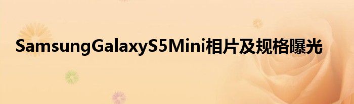 SamsungGalaxyS5Mini相片及规格曝光