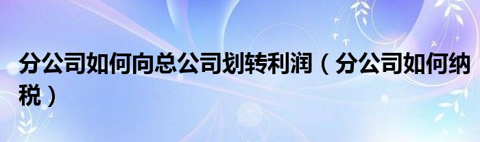 分公司如何向总公司划转利润（分公司如何纳税）