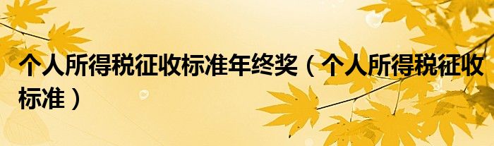 个人所得税征收标准年终奖（个人所得税征收标准）