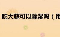 吃大蒜可以除湿吗（用大蒜能去除尖锐湿吗）