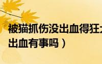 被猫抓伤没出血得狂犬病的概率（被猫抓伤没出血有事吗）