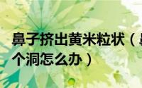 鼻子挤出黄米粒状（鼻子挤出来的黄米粒留了个洞怎么办）