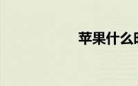 苹果什么时候上市？