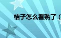 桔子怎么看熟了（桔子如何看熟了）