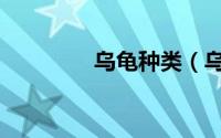 乌龟种类（乌龟种类介绍）