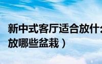 新中式客厅适合放什么盆栽（新中式客厅适合放哪些盆栽）