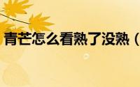 青芒怎么看熟了没熟（青芒如何看熟了没熟）