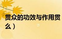 贯众的功效与作用贯（贯众的功效与作用是什么）