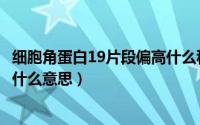 细胞角蛋白19片段偏高什么科就诊（细胞角蛋白19片段偏高什么意思）