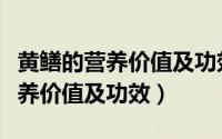 黄鳝的营养价值及功效和食用方法（黄鳝的营养价值及功效）