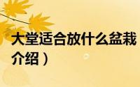 大堂适合放什么盆栽（大堂里适合摆放的盆栽介绍）