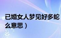 已婚女人梦见好多蛇（已婚女人梦见好多蛇什么意思）