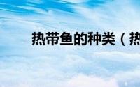 热带鱼的种类（热带鱼的种类介绍）