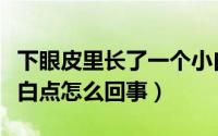 下眼皮里长了一个小白点（下眼皮里长了个小白点怎么回事）