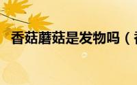 香菇蘑菇是发物吗（香菇蘑菇是不是发物）
