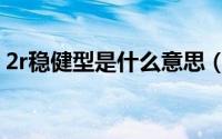 2r稳健型是什么意思（2r稳健型是什么意思）
