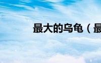 最大的乌龟（最大的乌龟介绍）