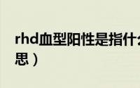 rhd血型阳性是指什么（rhd血型阳性什么意思）