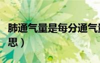 肺通气量是每分通气量吗（肺通气量是什么意思）