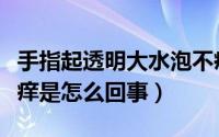 手指起透明大水泡不痒（手指长透明小水泡不痒是怎么回事）