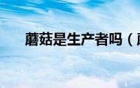蘑菇是生产者吗（蘑菇是不是生产者）
