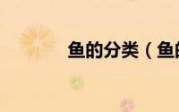 鱼的分类（鱼的分类有哪些）
