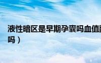 液性暗区是早期孕囊吗血值翻倍不好（液性暗区是早期孕囊吗）