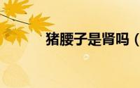猪腰子是肾吗（猪腰子是肾吗）