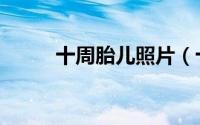 十周胎儿照片（十周胎儿有多大）