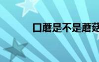 口蘑是不是蘑菇（口蘑是蘑菇）